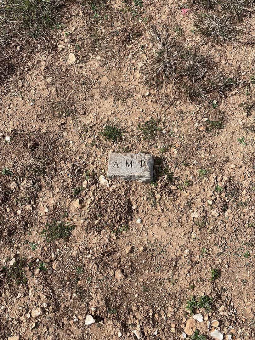 Alice M. Parker's grave. Photo 3