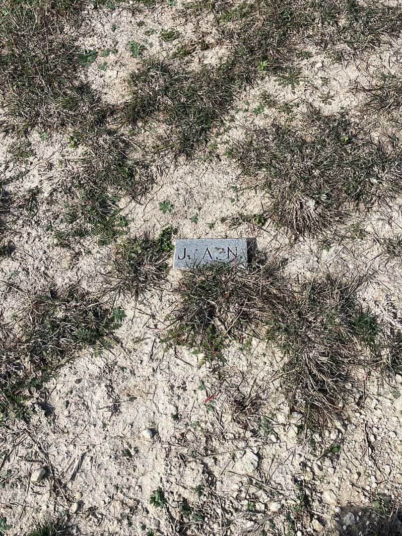 Joseph A. Newsom's grave. Photo 3