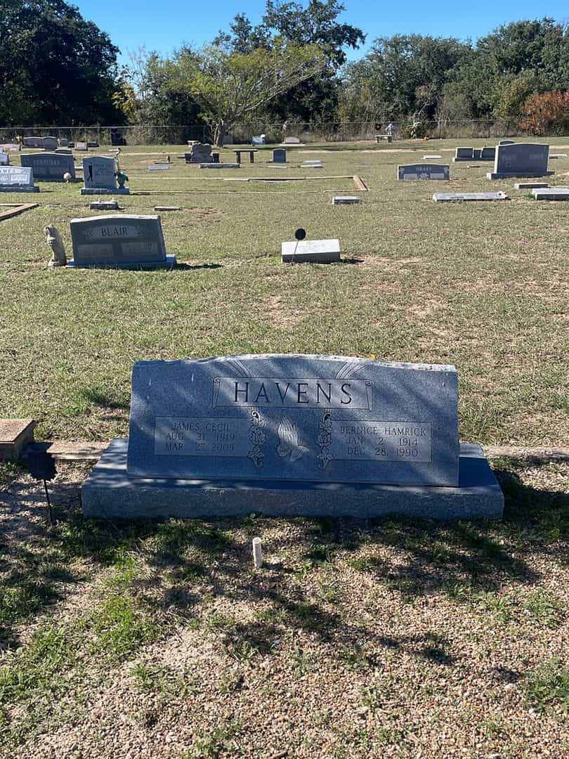 Bernice Hamrick Havens's grave. Photo 2