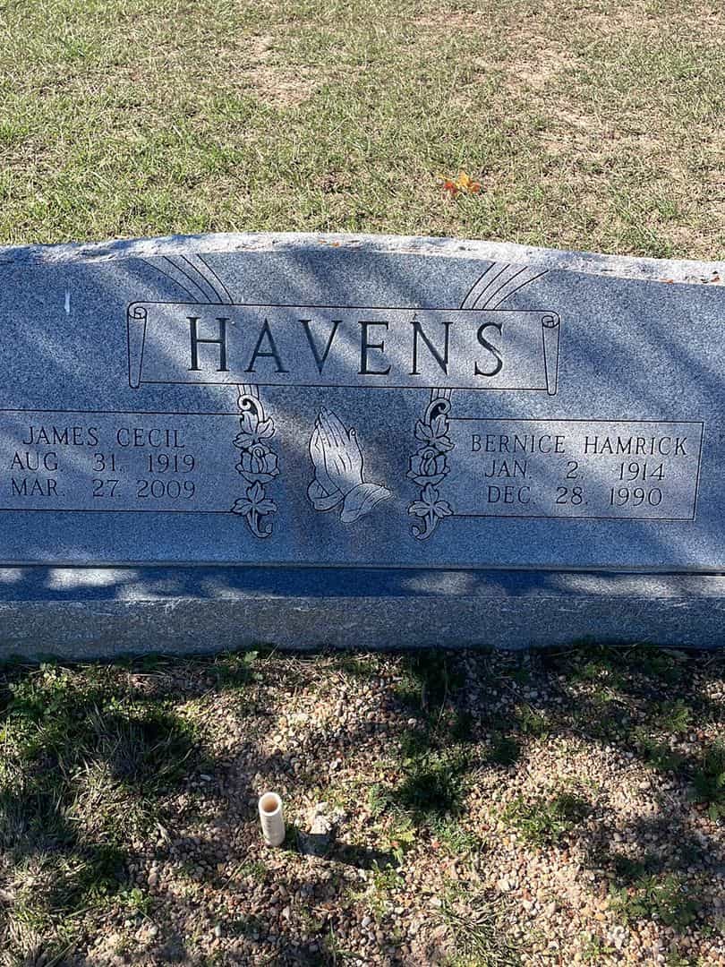 Bernice Hamrick Havens's grave. Photo 1