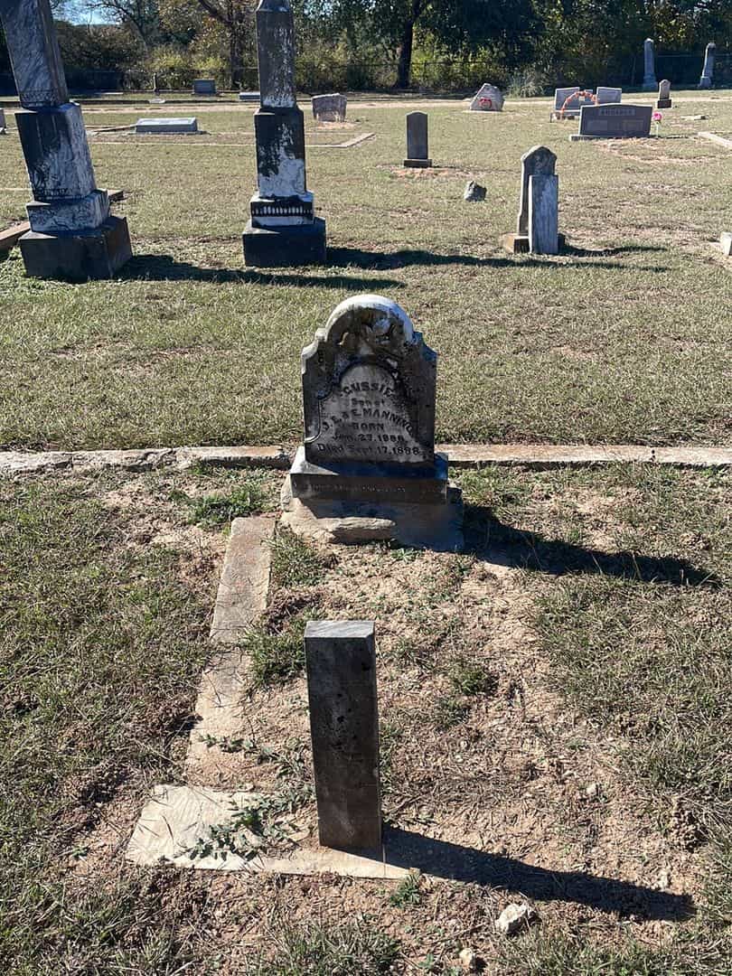 Gussie Manning's grave. Photo 2