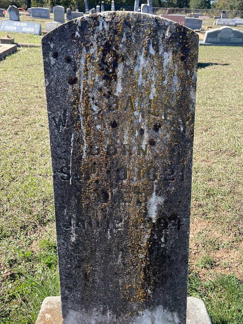 W. L. Bailey's grave. Photo 1