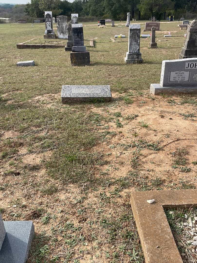 Roxie Ann Ellison's grave. Photo 2