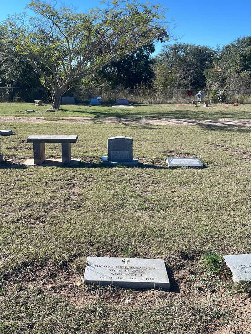Thomas Eugene Ragland's grave. Photo 2