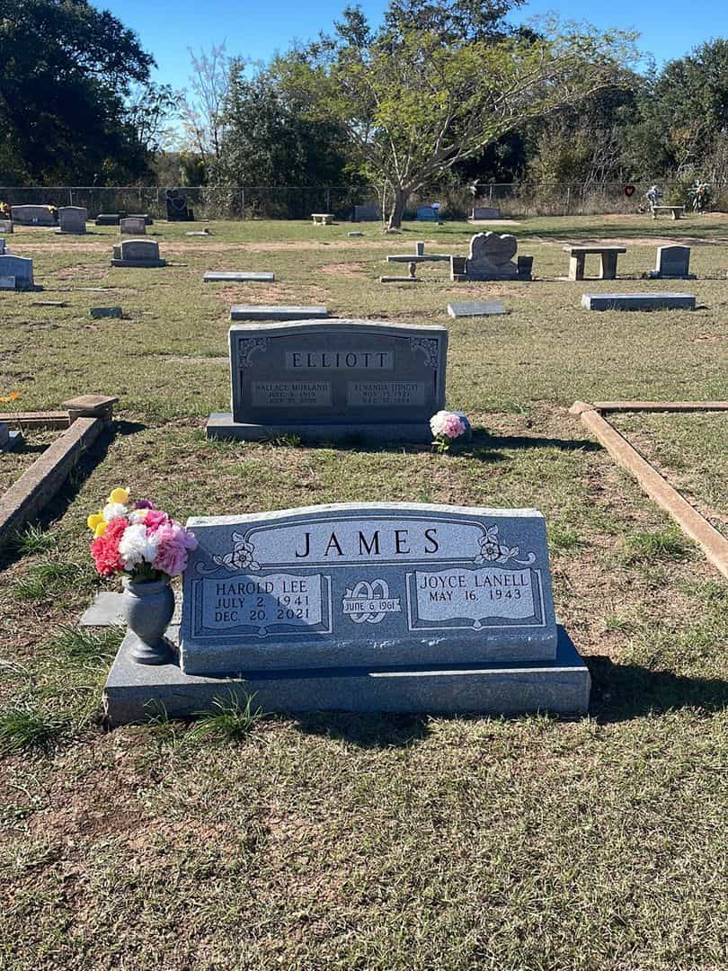 Harold Lee James's grave. Photo 2