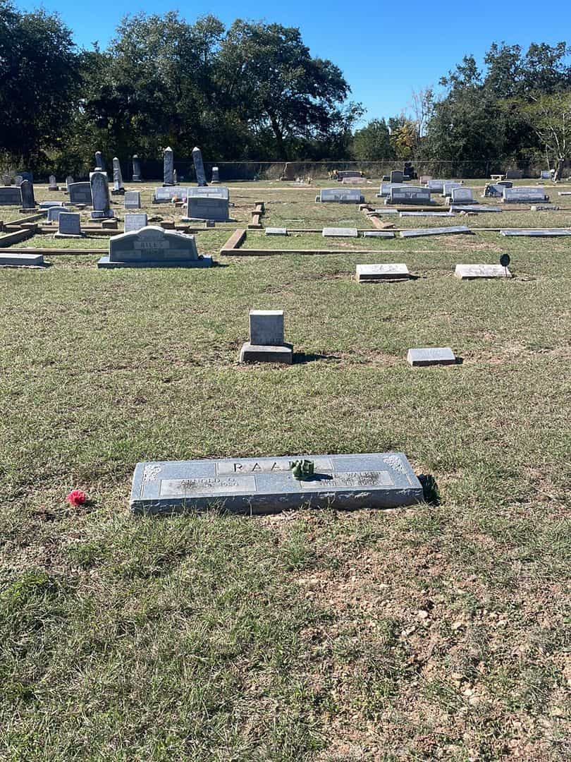 Arnold Otto Raabe's grave. Photo 2