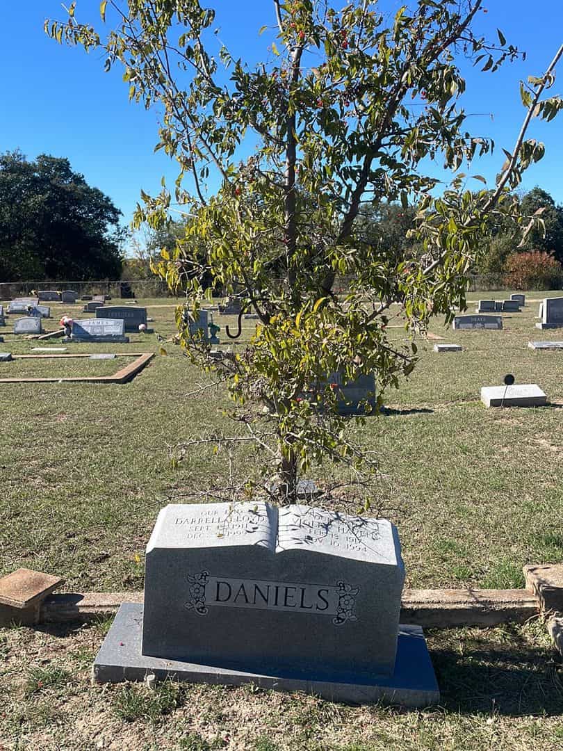 Darrell Lloyd Daniels's grave. Photo 2