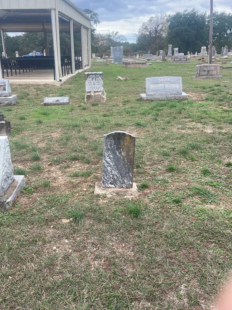 Walter Warren's grave. Photo 2