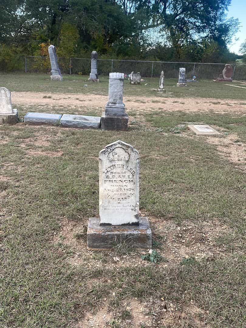 Luther Lee French's grave. Photo 2