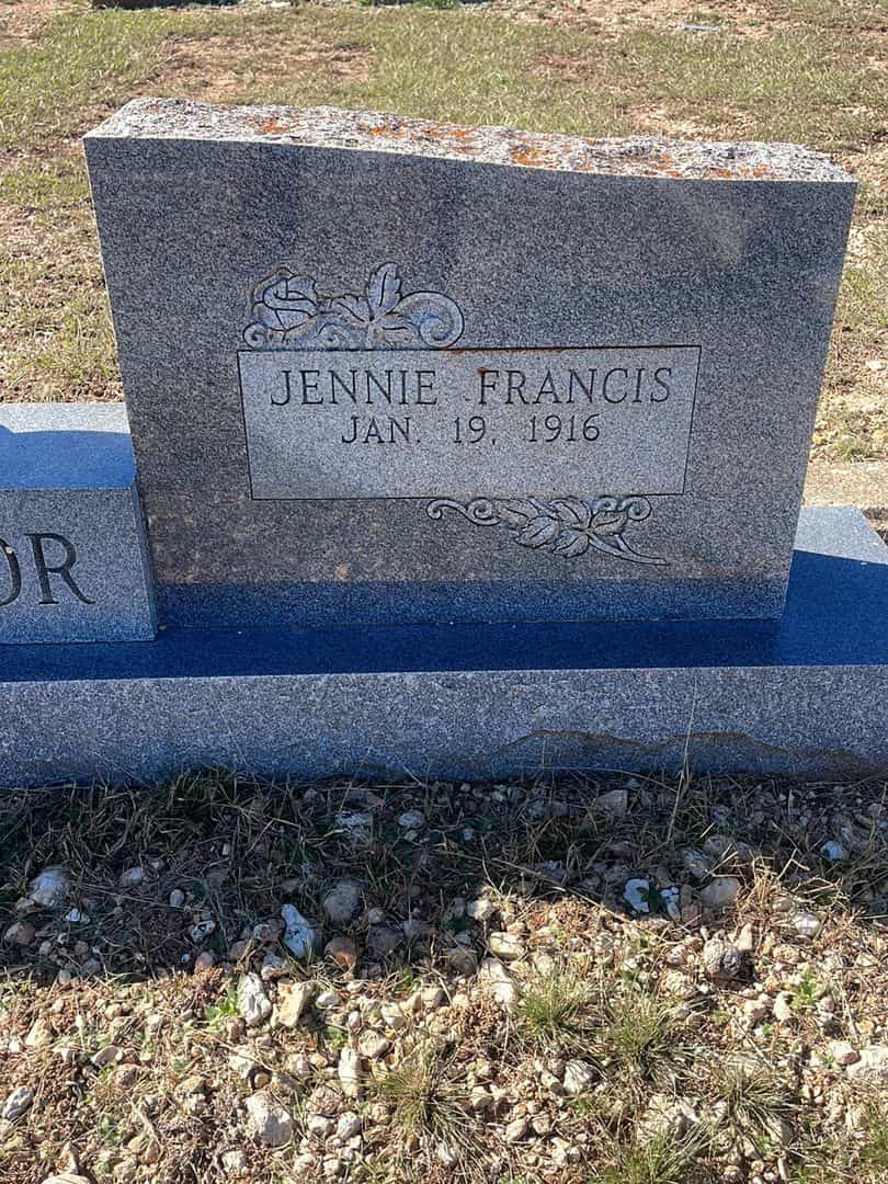 Jennie Francis Taylor's grave. Photo 1