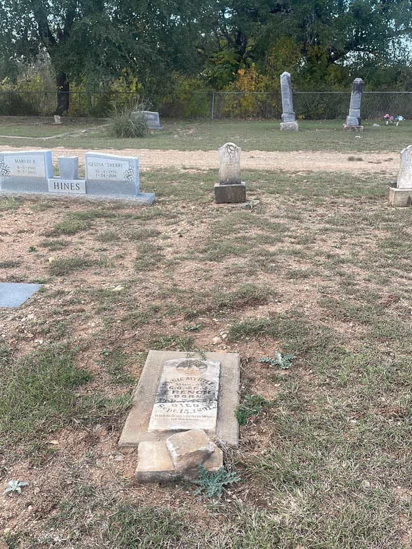 Annie Myrtle French's grave. Photo 2