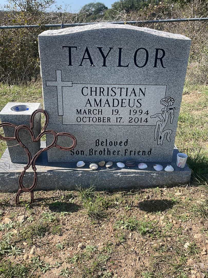 Christian Amadeus Taylor's grave. Photo 2