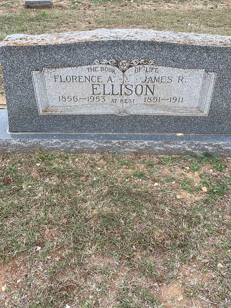 James R. Ellison's grave. Photo 1