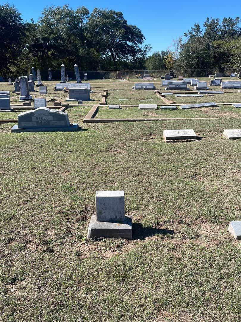 A. W. Walker's grave. Photo 2