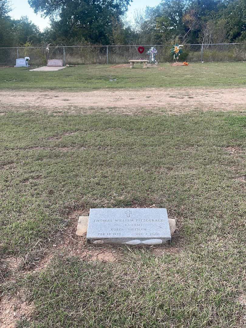 Thomas William Fitzgerald's grave. Photo 2