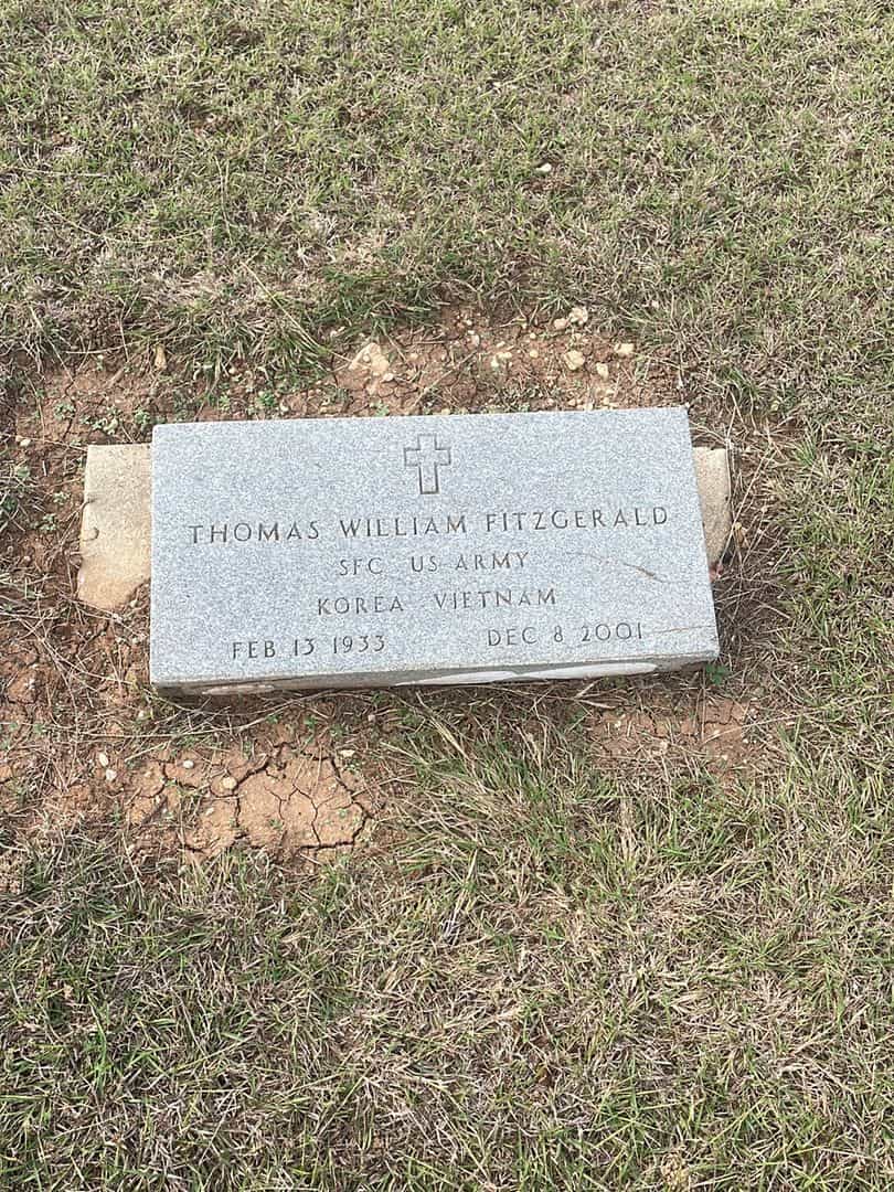 Thomas William Fitzgerald's grave. Photo 1