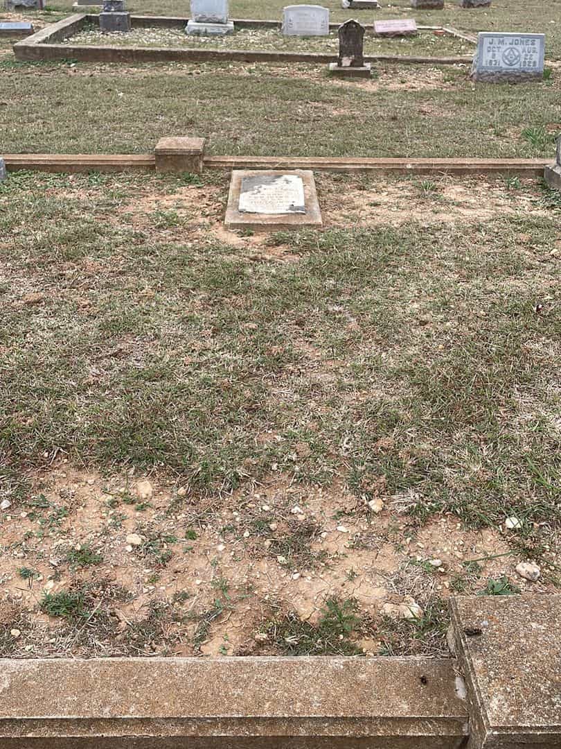 Roy Ellison's grave. Photo 2