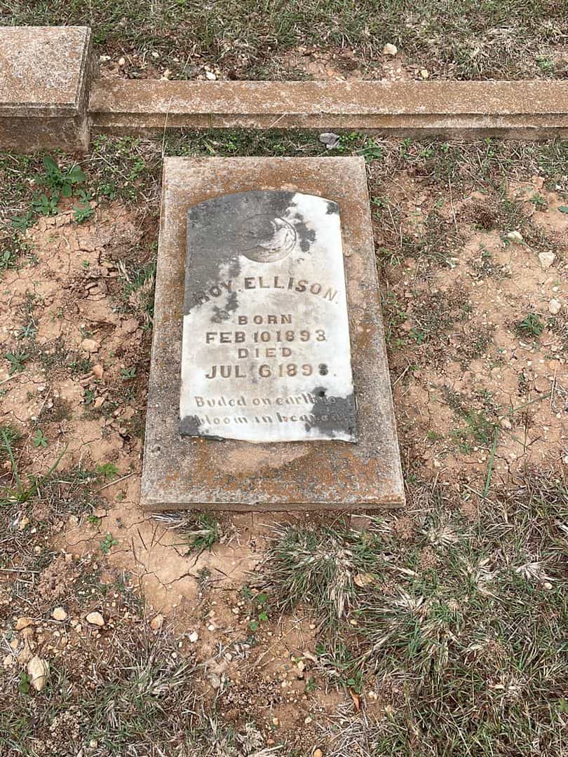 Roy Ellison's grave. Photo 1