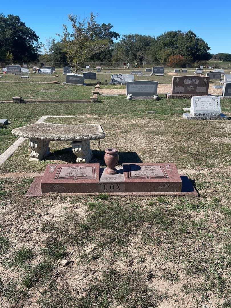 Reverend Homer Sanderford Cox's grave. Photo 2