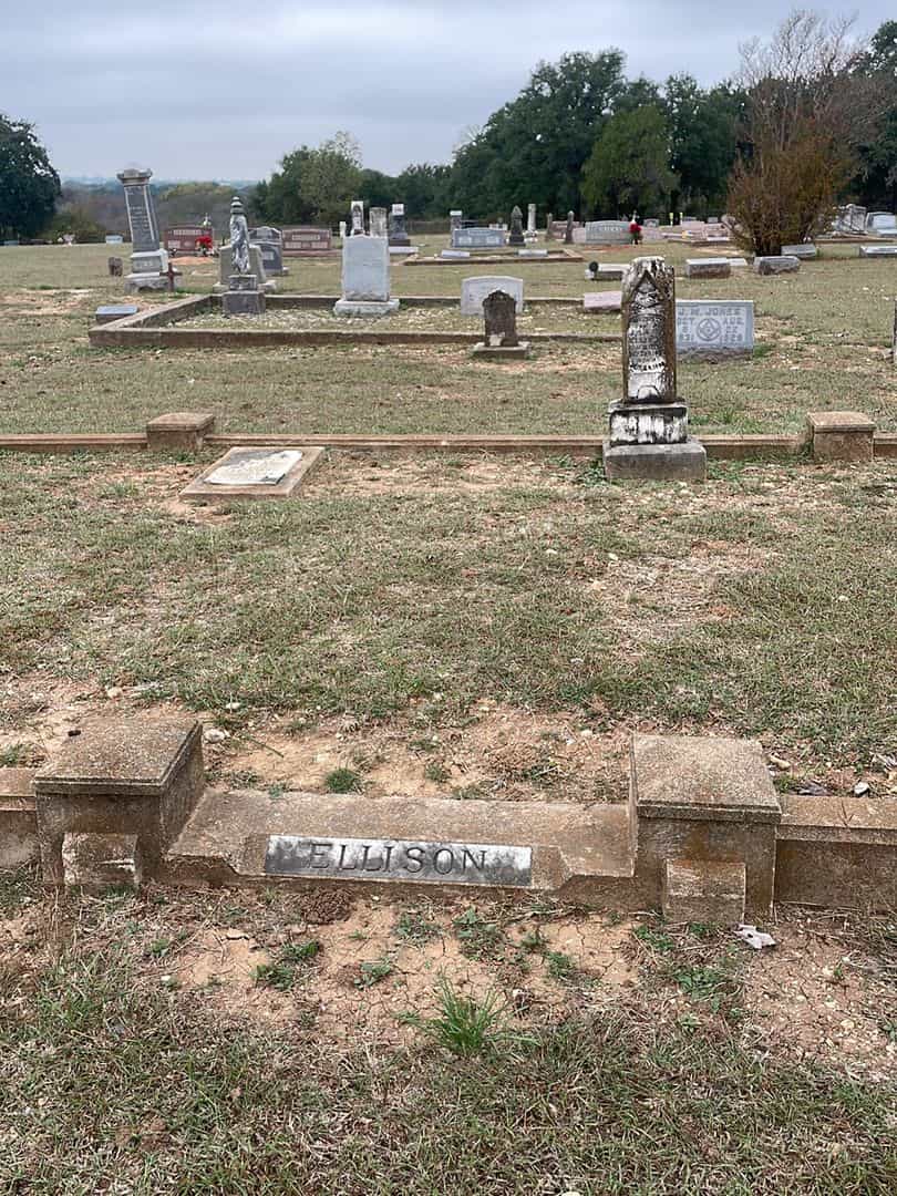 Henry Ellison's grave. Photo 2
