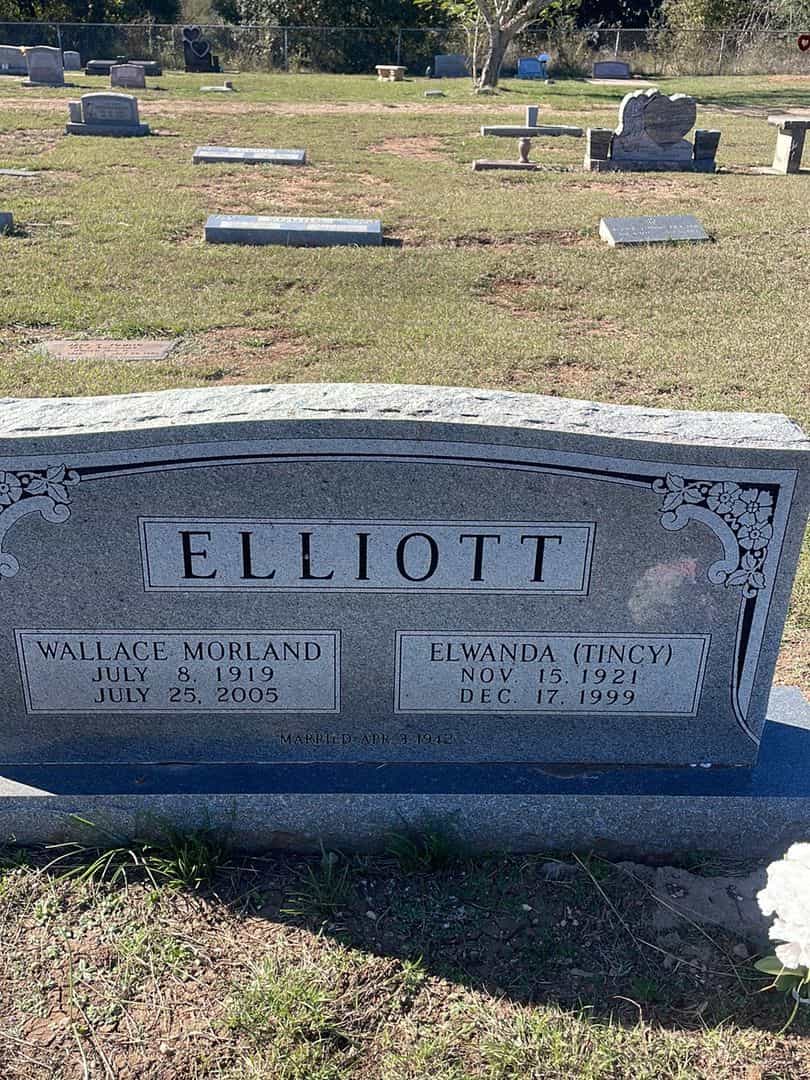 Wallace Morland Elliott's grave. Photo 1