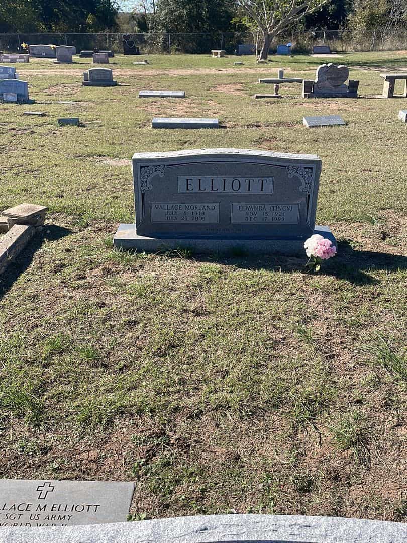 Wallace Morland Elliott's grave. Photo 2