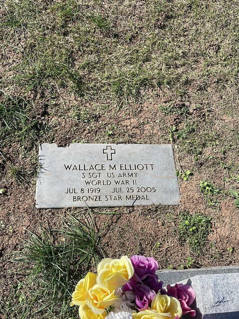 Wallace Morland Elliott's grave. Photo 3