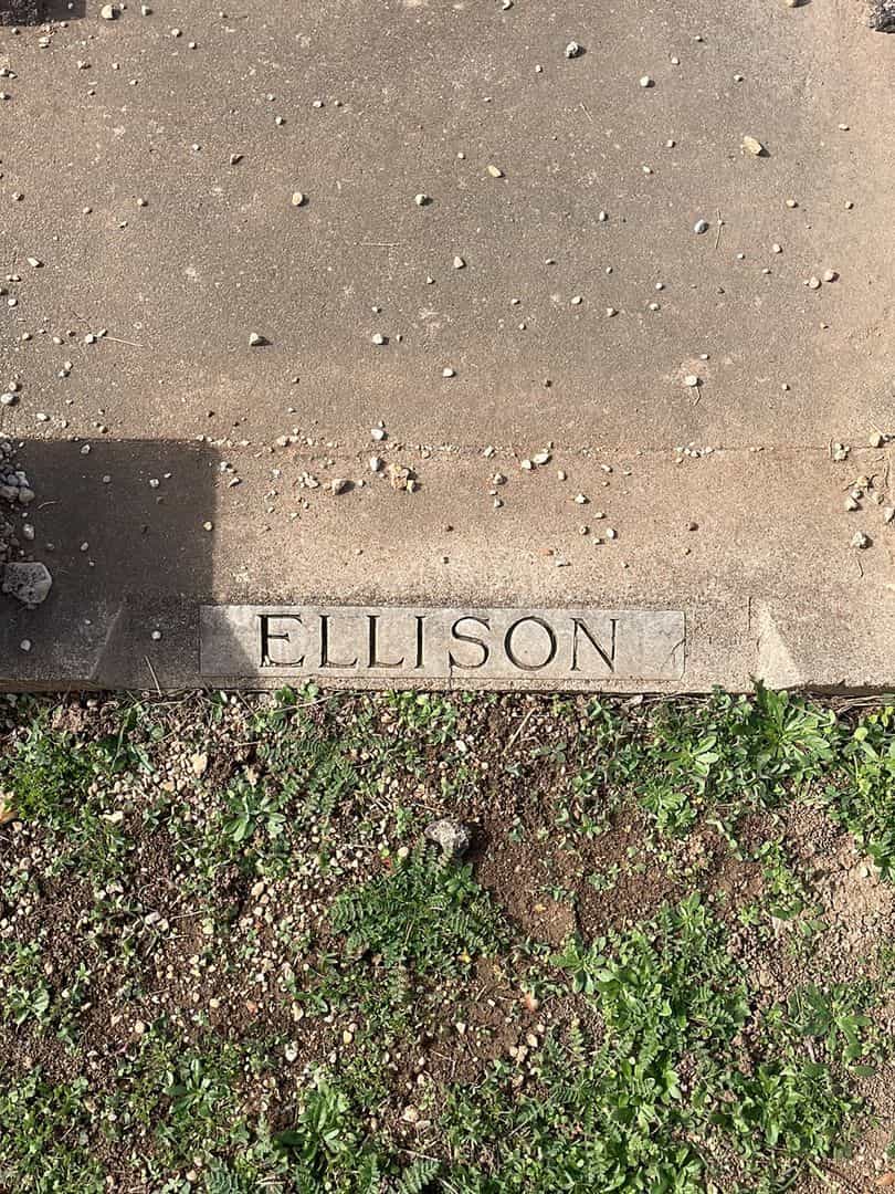 Hewitt A. Ellison's grave. Photo 1