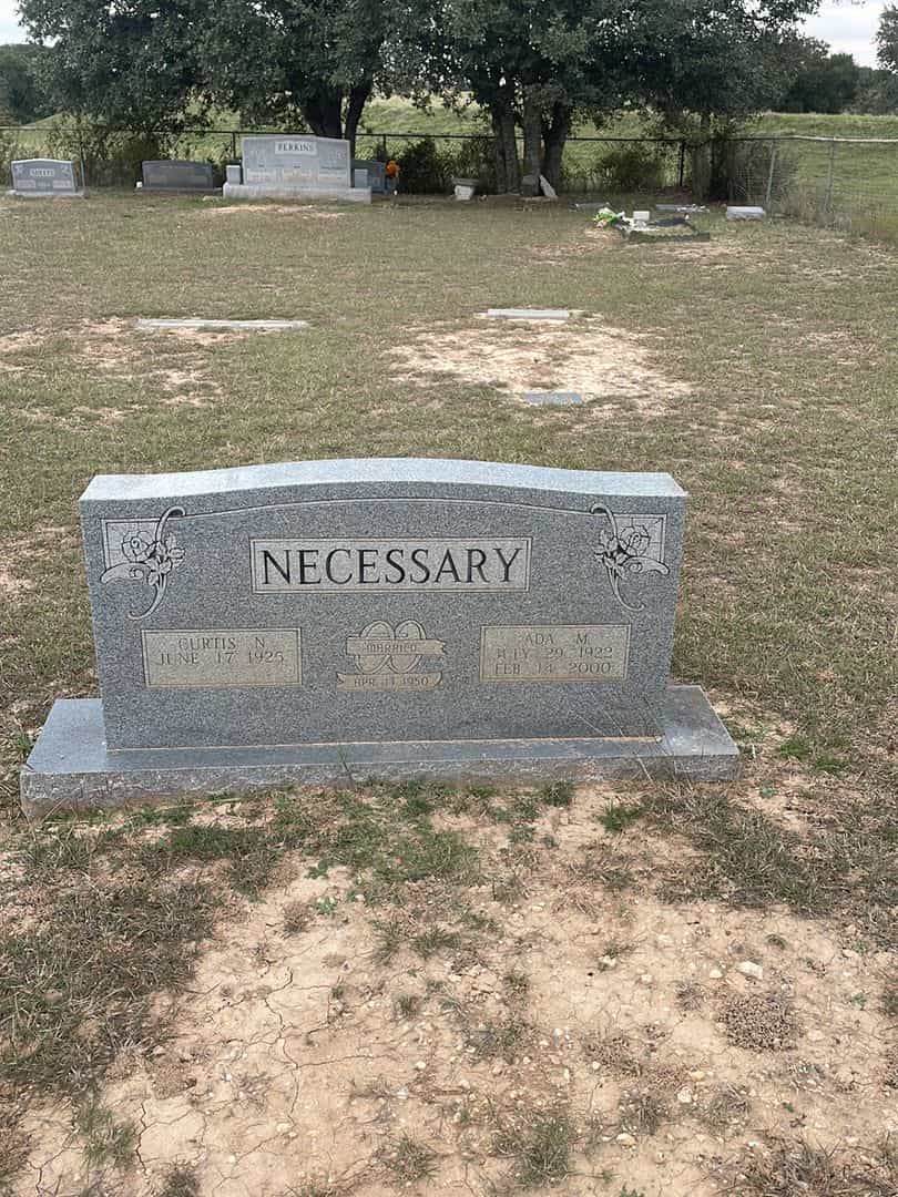 Curtis N. Necessary's grave. Photo 2