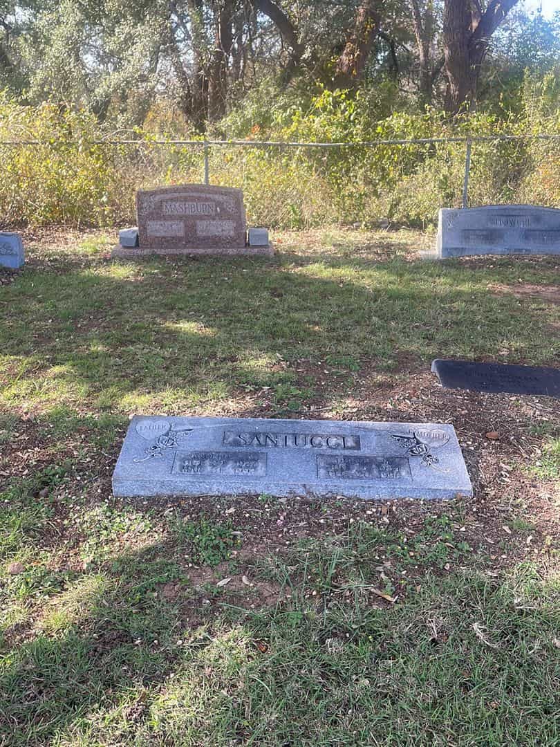 Diane M. Santucci's grave. Photo 2
