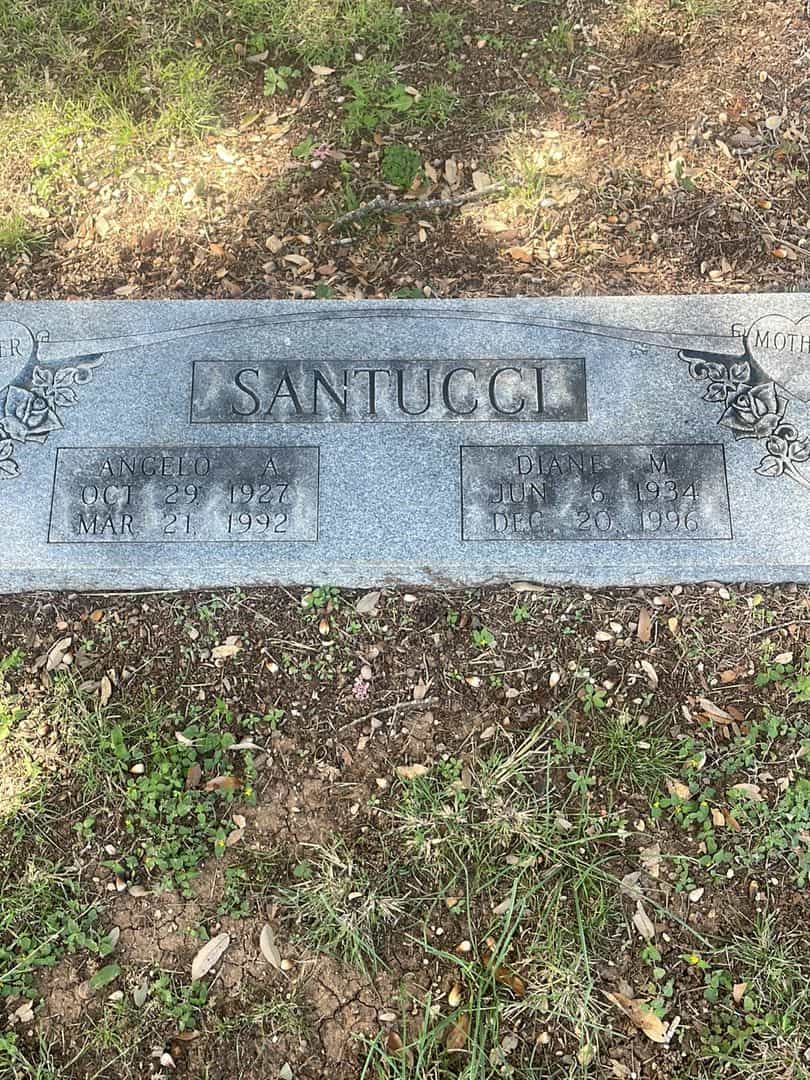 Diane M. Santucci's grave. Photo 1