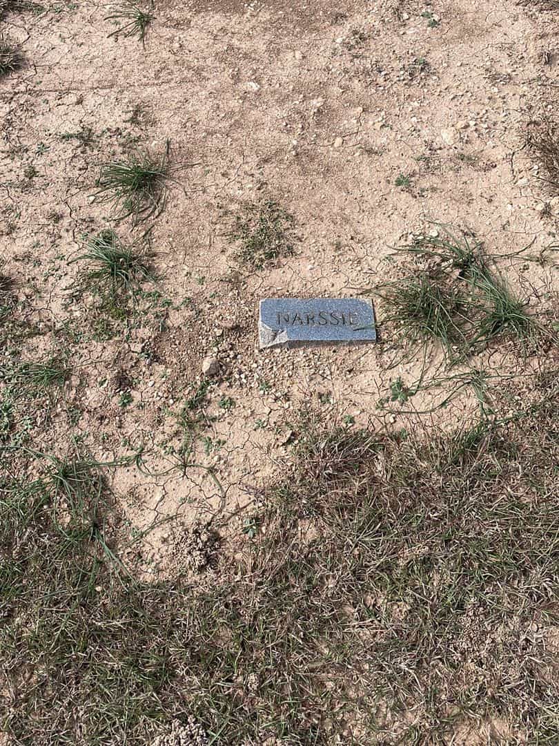 Narsisia Margarettee Farris's grave. Photo 3
