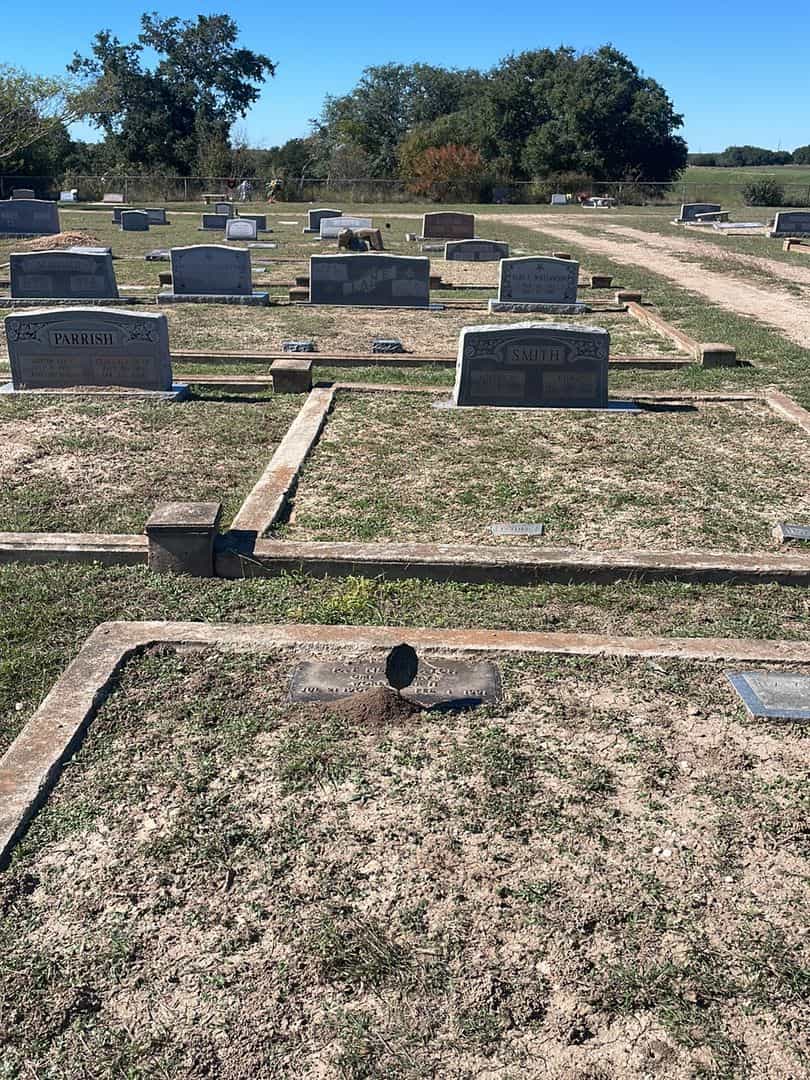 Pat Neff Hatch's grave. Photo 2