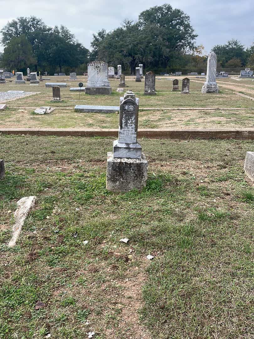 Phebe A. Lane's grave. Photo 2
