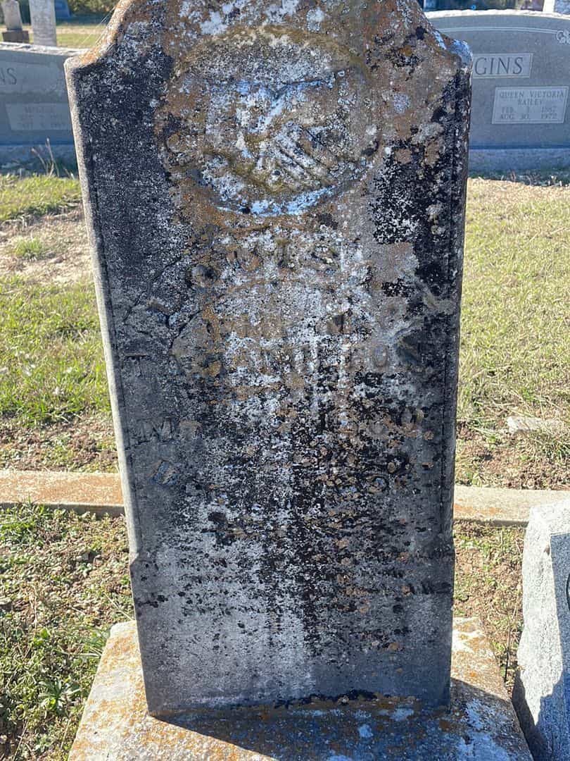 Louiser Hamilton's grave. Photo 3