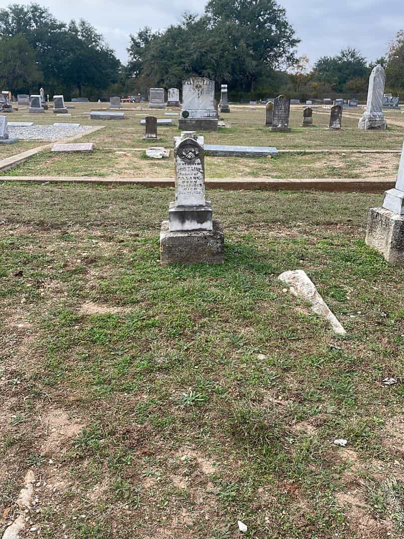 John M. Lane's grave. Photo 2