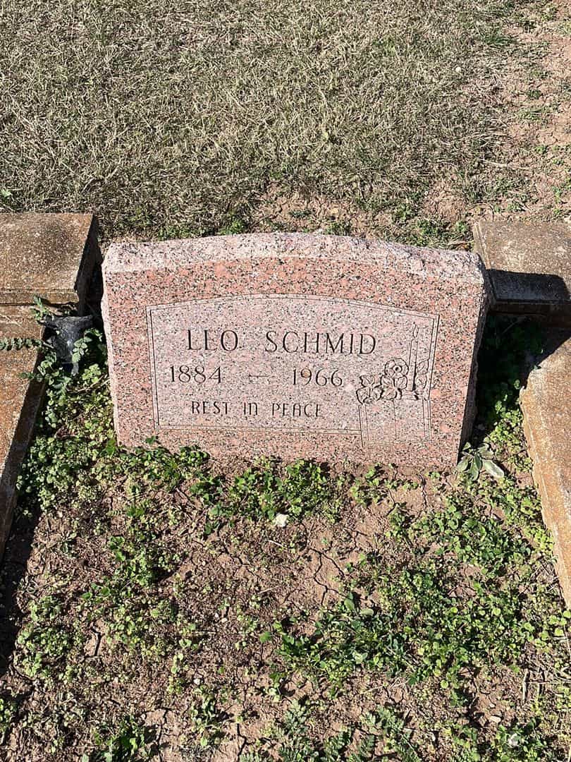 Leo Schmid's grave. Photo 1