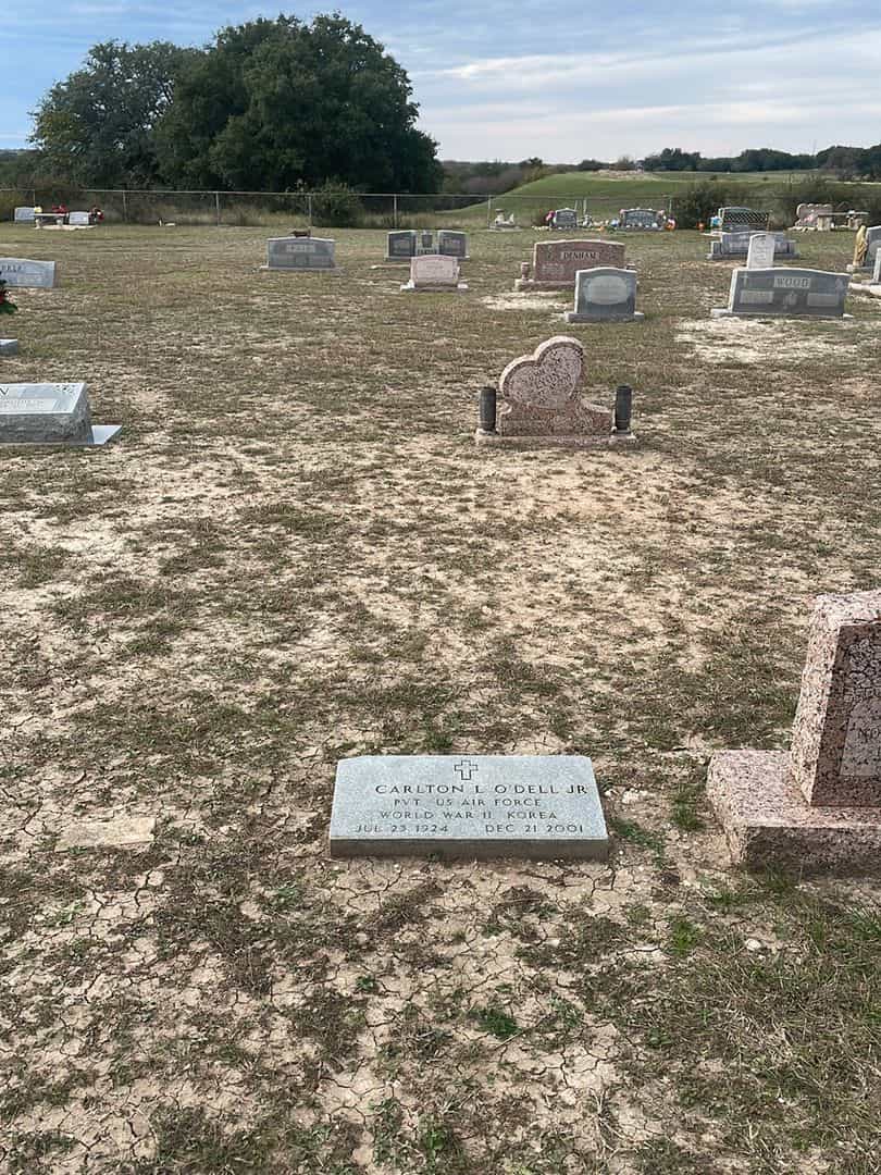 Carlton L. O'Dell Junior's grave. Photo 2