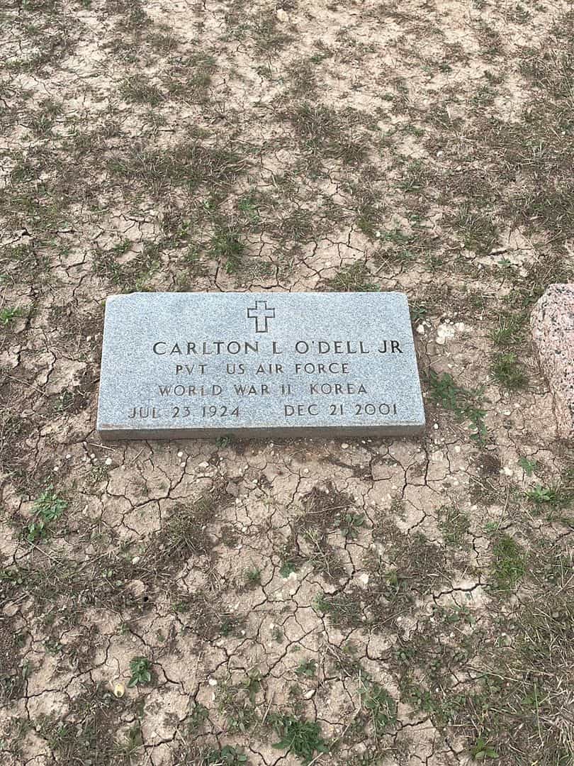 Carlton L. O'Dell Junior's grave. Photo 1
