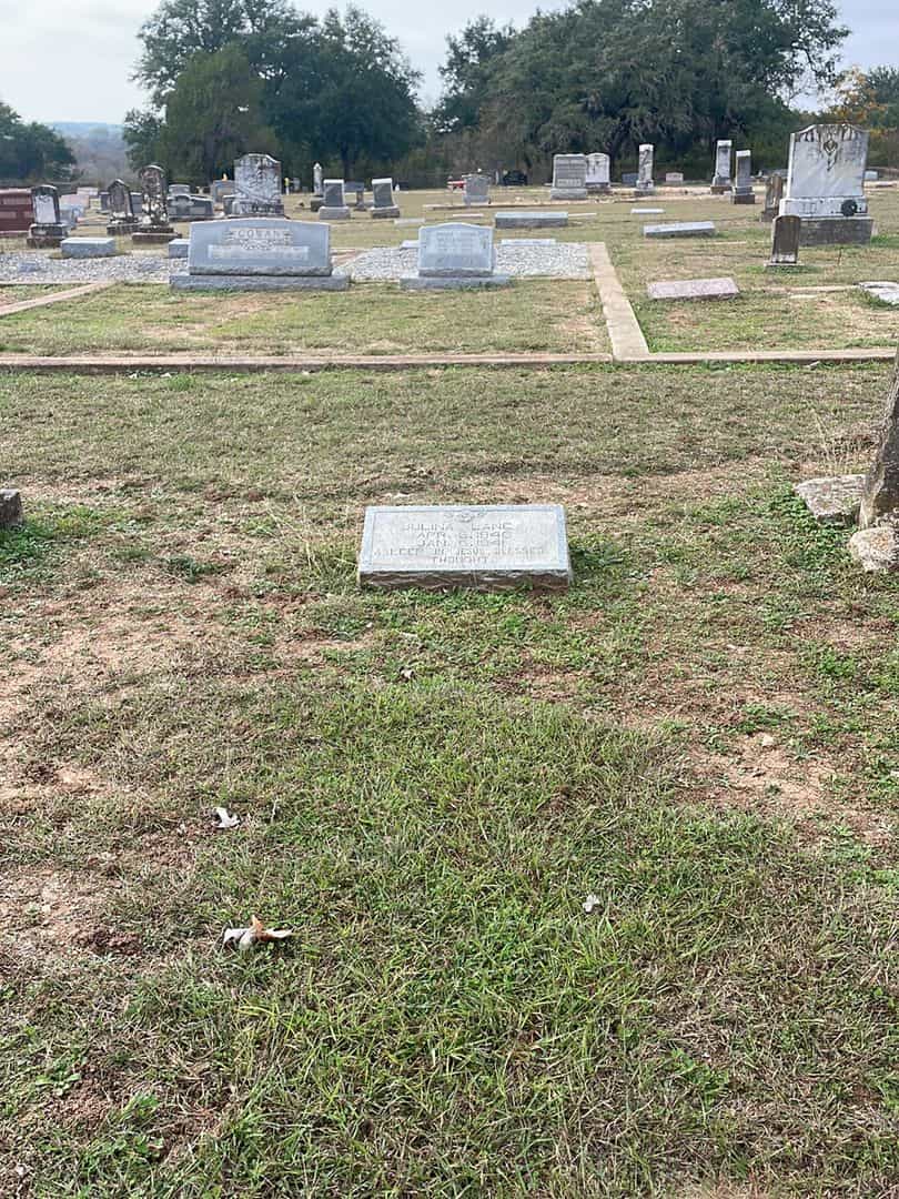 Julina Lane's grave. Photo 2