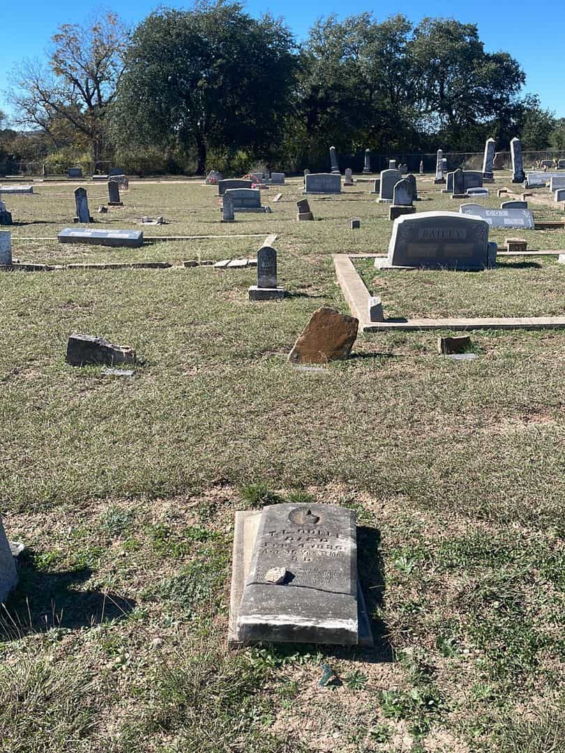 T. L. Odell's grave. Photo 2
