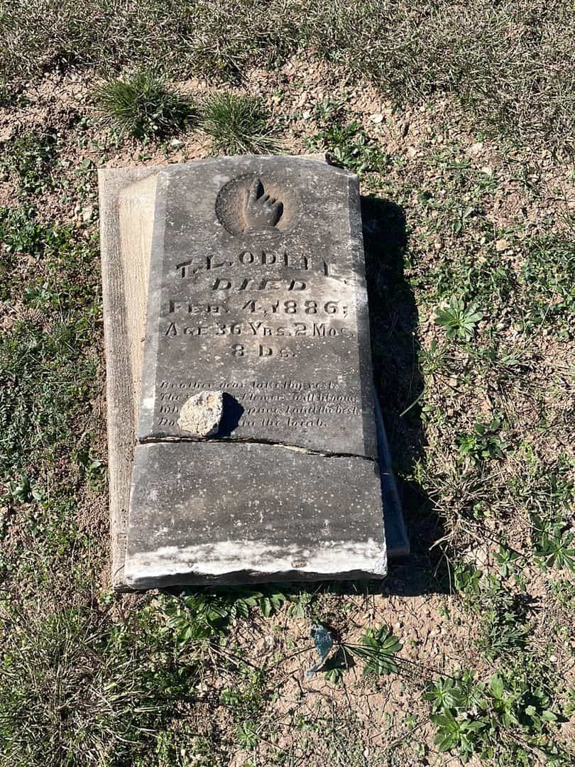 T. L. Odell's grave. Photo 1