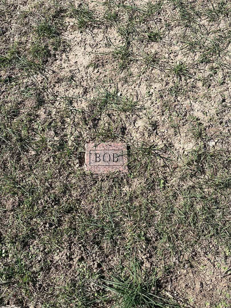 Darrell Robert Daniels's grave. Photo 3