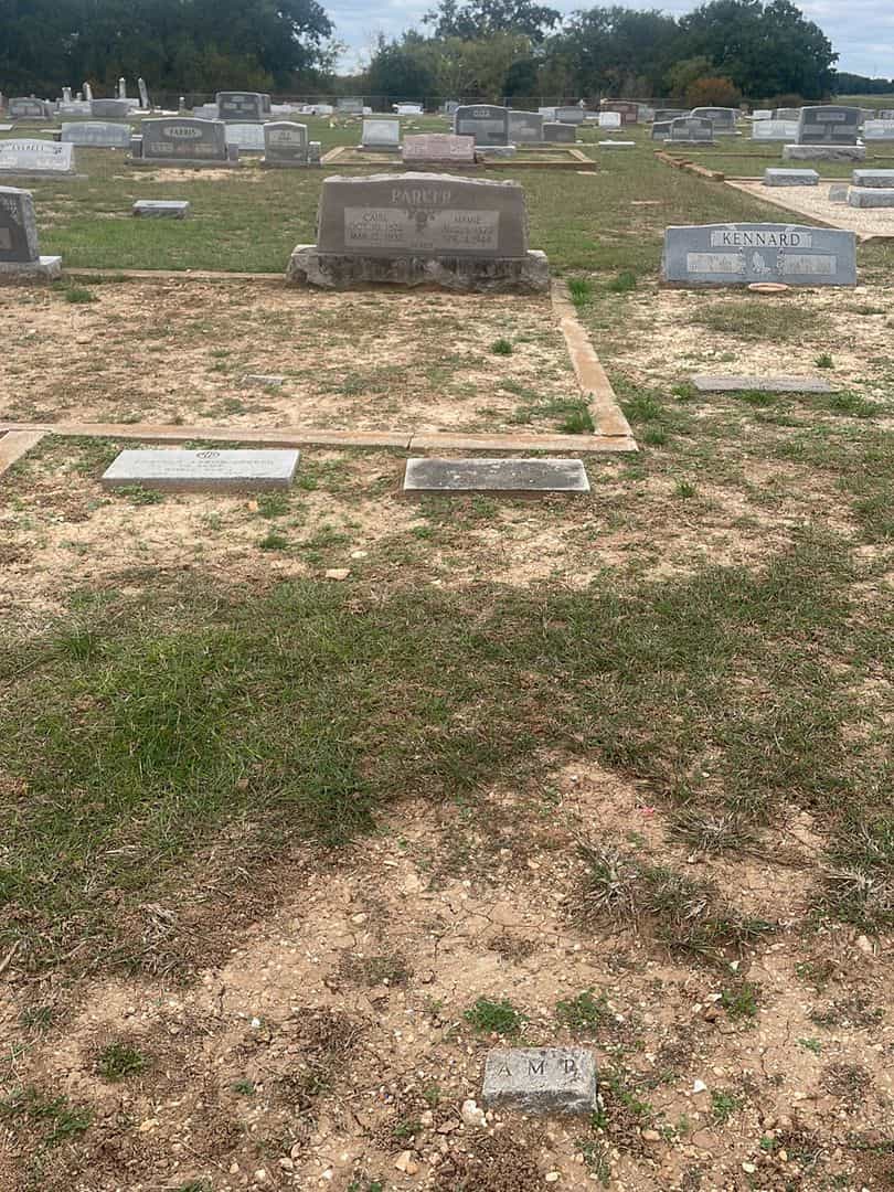 Alice M. Parker's grave. Photo 2