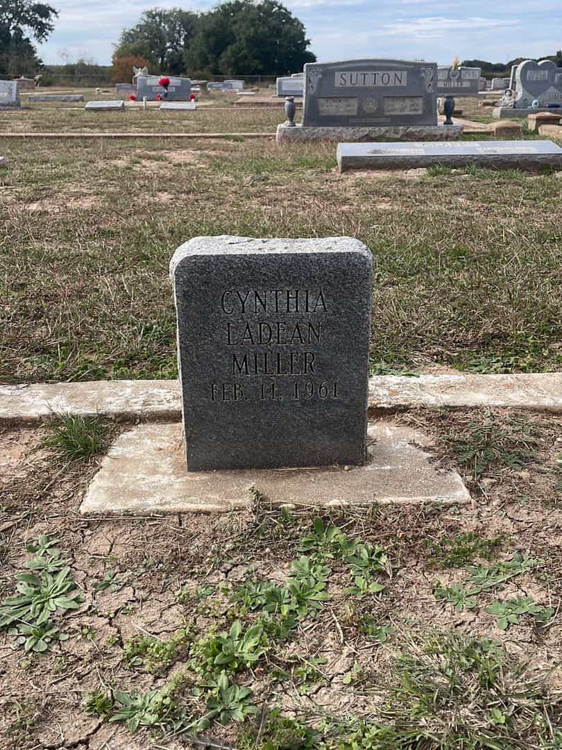 Cynthia Ladean Miller's grave. Photo 1