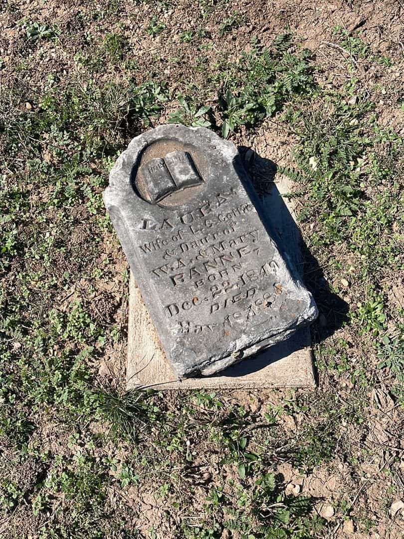 Laura Ranne Cottle's grave. Photo 1